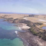 phillip island tour
